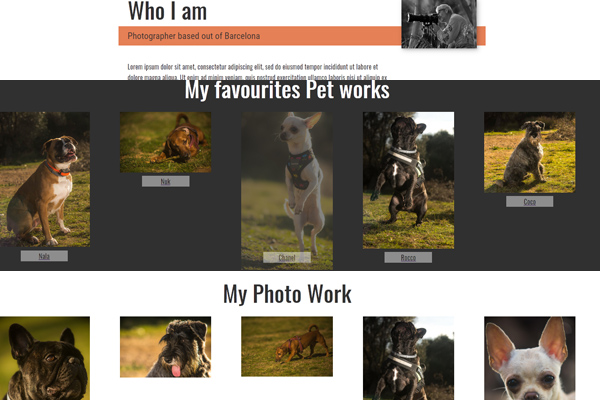 pet photographer portfolio
